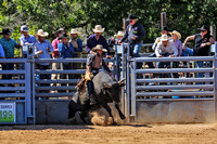 Cracker Day Rodeo 3-1-2020